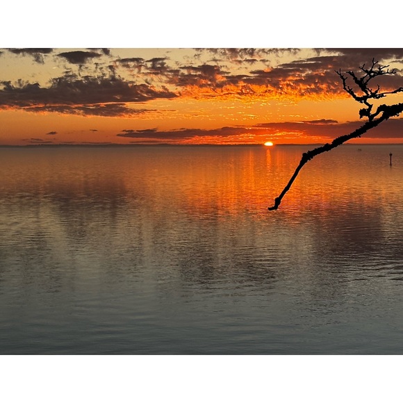 Meet your Posher, Lynn - Picture 1 of 1